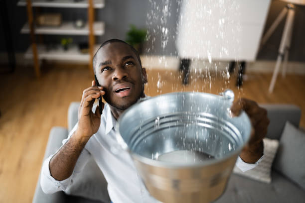 Best Water damage restoration specialists  in Allison Rk, PA