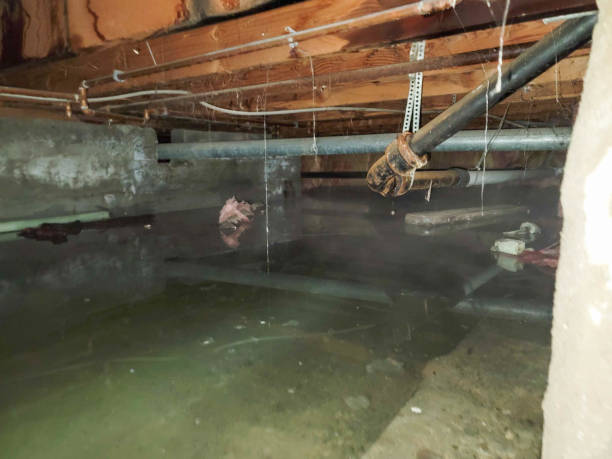 Best Water damage restoration cost  in Allison Rk, PA