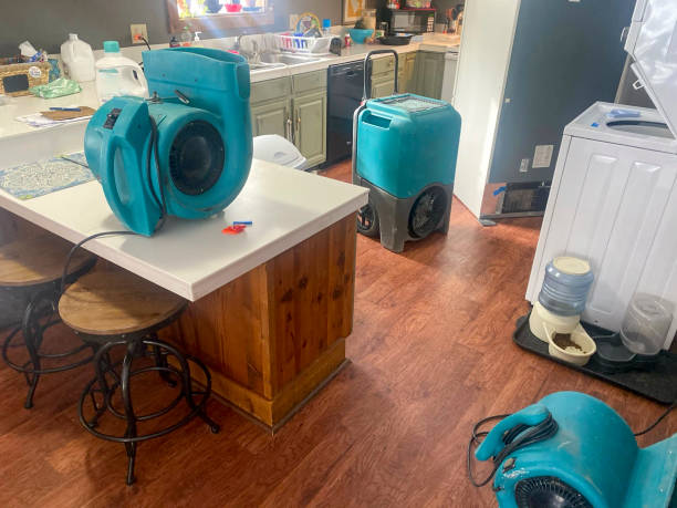Carpet water damage restoration in Allison Park, PA