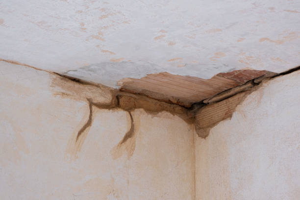 Best Ceiling water damage repair  in Allison Rk, PA
