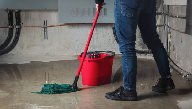Best Fire Damage Restoration  in Allison Rk, PA