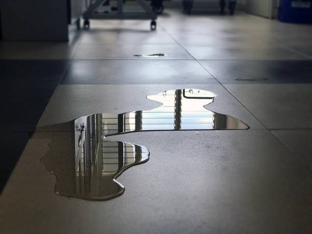 Best 24-hour water damage restoration  in Allison Rk, PA